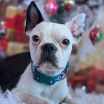 Thumbnail photo of Chance #2