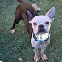 Thumbnail photo of Chance #3