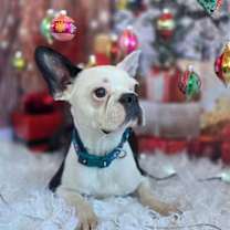 Thumbnail photo of Chance #4