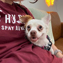 Thumbnail photo of Annie Oakley #3