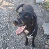 Thumbnail photo of Winter #2