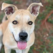 Thumbnail photo of Janet 25-11-099 #1