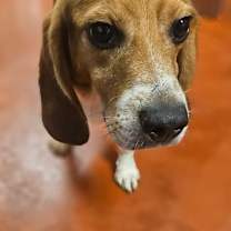 Thumbnail photo of Lausanne #3