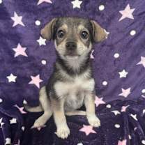 Thumbnail photo of Jeanette #1