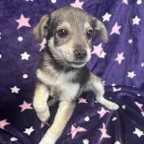 Thumbnail photo of Jeanette #2