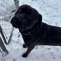 Thumbnail photo of Loverboy #3