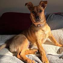 Thumbnail photo of Roquefort (Roqa) #4