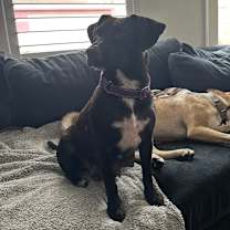 Thumbnail photo of Darleen #1