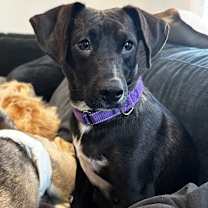 Thumbnail photo of Darleen #2