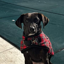 Thumbnail photo of Darleen #3