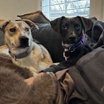 Thumbnail photo of Darleen #4