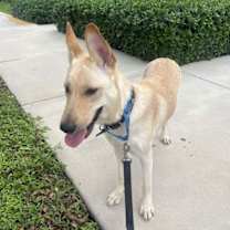 Thumbnail photo of Blue 3144 #1