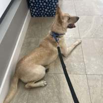 Thumbnail photo of Blue 3144 #2