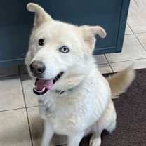 Thumbnail photo of Keanu #1