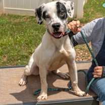 Thumbnail photo of Splot #3