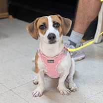 Thumbnail photo of Coraline- short and sweet #2