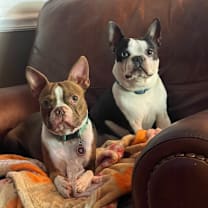 Thumbnail photo of Nugget #3