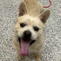 Thumbnail photo of Titus #1