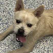 Thumbnail photo of Titus #2