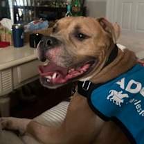 Thumbnail photo of 89595A Rocco #3