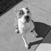 Thumbnail photo of 59924781 #1