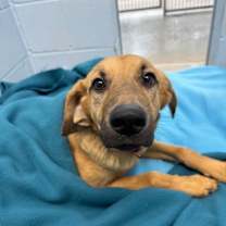 Thumbnail photo of June #1