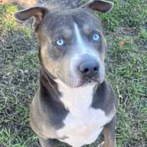 Thumbnail photo of Bobby #1