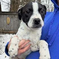 Thumbnail photo of Russ #1