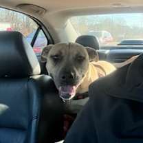 Thumbnail photo of Twitch #2