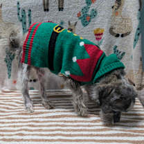 Thumbnail photo of King #2