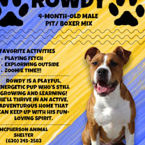 Thumbnail photo of Rowdy #1