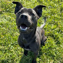 Thumbnail photo of Selene #3