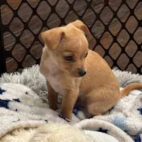 Thumbnail photo of Bobby #3