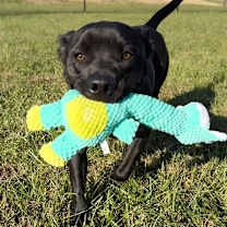 Thumbnail photo of Selene #4