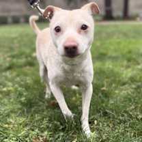 Thumbnail photo of Ace #1