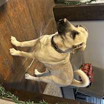 Thumbnail photo of Hackett #2