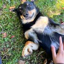 Thumbnail photo of Talia #2