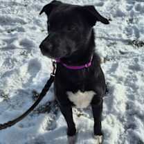 Thumbnail photo of Ella #2