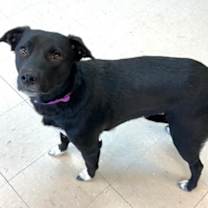 Thumbnail photo of Ella #3