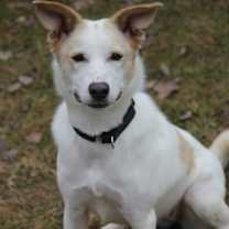 Thumbnail photo of Zena #1