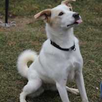 Thumbnail photo of Zena #2