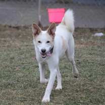 Thumbnail photo of Zena #3