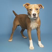 Thumbnail photo of ZONIK #1