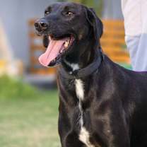 Thumbnail photo of Gerald #4