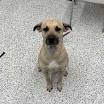 Thumbnail photo of Bas #1