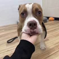 Thumbnail photo of Gorda #2