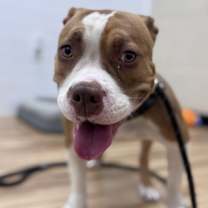 Thumbnail photo of Gorda #4