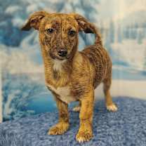 Thumbnail photo of Riki #2