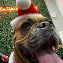 Thumbnail photo of Clarice #3