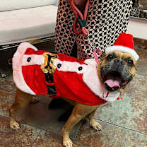 Thumbnail photo of Clarice #4